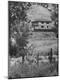 Photographic Print
