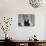 Writer Robert Benchley, Sitting at His Desk with a Small Wade of Paper in His Mouth-Bernard Hoffman-Mounted Premium Photographic Print displayed on a wall