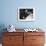 Writer T. S. Eliot Working at His Desk-Bob Landry-Framed Premium Photographic Print displayed on a wall