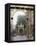 Wrought Iron by Lamor, Restored, Place Stanislaus, Nancy, Lorraine, France-Adam Woolfitt-Framed Premier Image Canvas