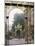 Wrought Iron by Lamor, Restored, Place Stanislaus, Nancy, Lorraine, France-Adam Woolfitt-Mounted Photographic Print