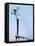 Wrought iron cutting instrument-Werner Forman-Framed Premier Image Canvas