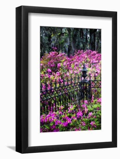 Wrought Iron fence and azaleas in full bloom, Bonaventure Cemetery, Georgia-Adam Jones-Framed Photographic Print