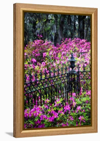 Wrought Iron fence and azaleas in full bloom, Bonaventure Cemetery, Georgia-Adam Jones-Framed Premier Image Canvas