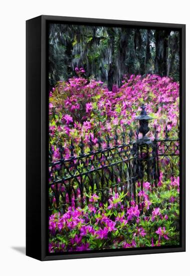 Wrought Iron fence and azaleas in full bloom, Bonaventure Cemetery, Georgia-Adam Jones-Framed Premier Image Canvas