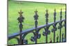 Wrought Iron Fence, State Capitol Building, Austin, Texas, Usa-Lisa S. Engelbrecht-Mounted Photographic Print