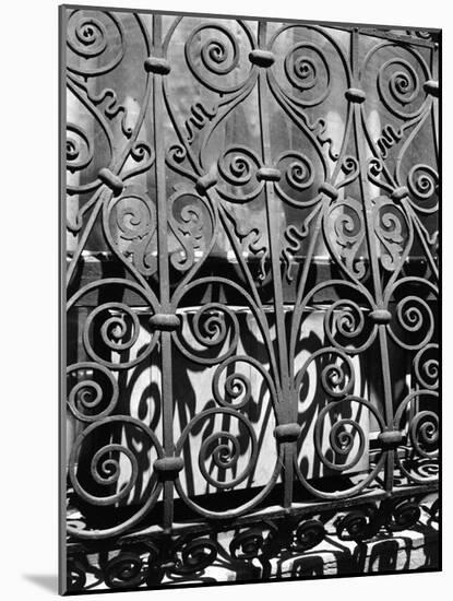 Wrought Iron, New York, 1943-Brett Weston-Mounted Photographic Print