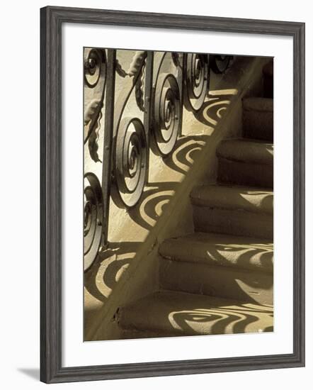 Wrought Iron Shadows, Charleston, South Carolina, USA-Julie Eggers-Framed Photographic Print