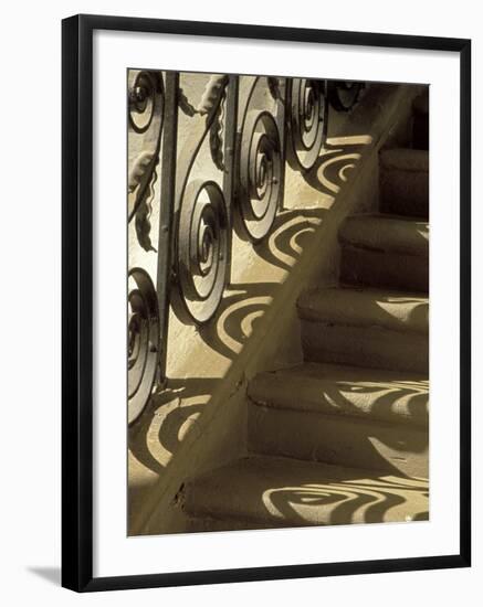 Wrought Iron Shadows, Charleston, South Carolina, USA-Julie Eggers-Framed Photographic Print