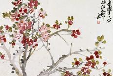 Apricot Blossoms-Wu Changshuo-Giclee Print