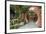 Wuhou Temple, Chengdu, Sichuan Province, China, Asia-Michael Snell-Framed Photographic Print