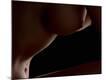 Premium Photographic Print