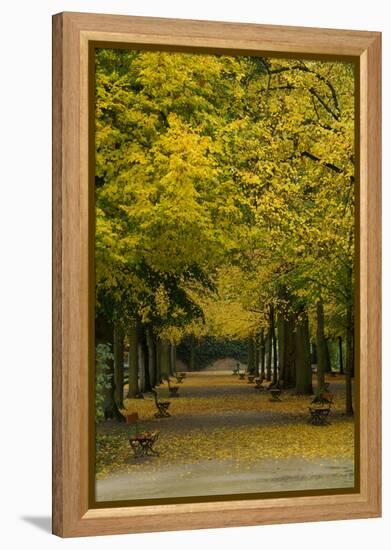 Wurzburg III-George Johnson-Framed Stretched Canvas