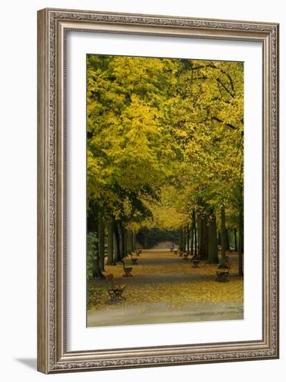 Wurzburg III-George Johnson-Framed Art Print