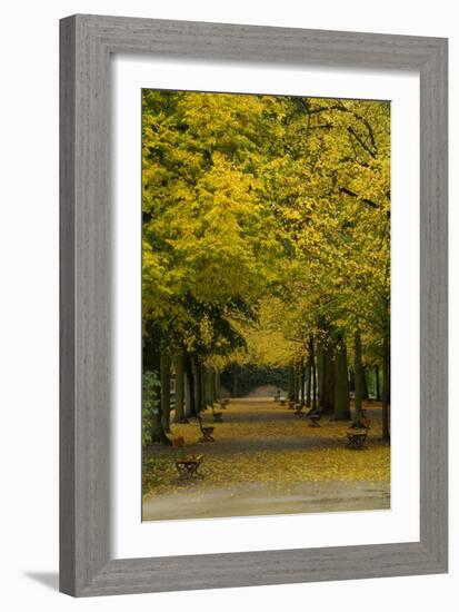 Wurzburg III-George Johnson-Framed Art Print