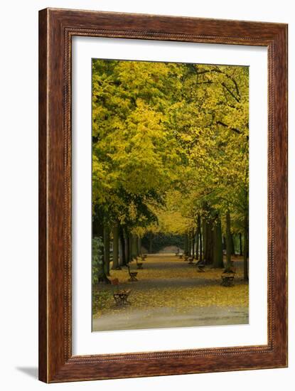 Wurzburg III-George Johnson-Framed Art Print