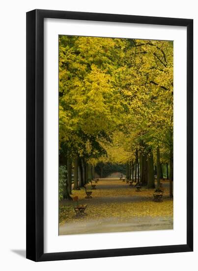 Wurzburg III-George Johnson-Framed Art Print