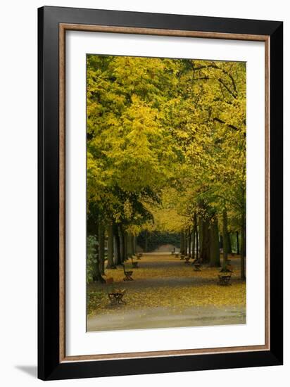 Wurzburg III-George Johnson-Framed Art Print