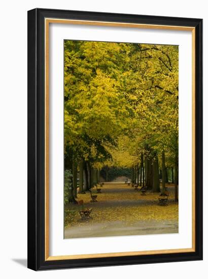 Wurzburg III-George Johnson-Framed Art Print