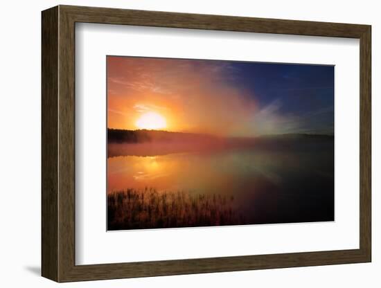 Wva-Viviane Fedieu Daniel-Framed Photographic Print