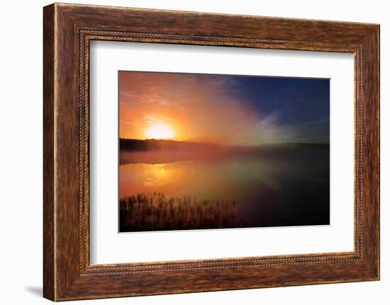 Wva-Viviane Fedieu Daniel-Framed Photographic Print