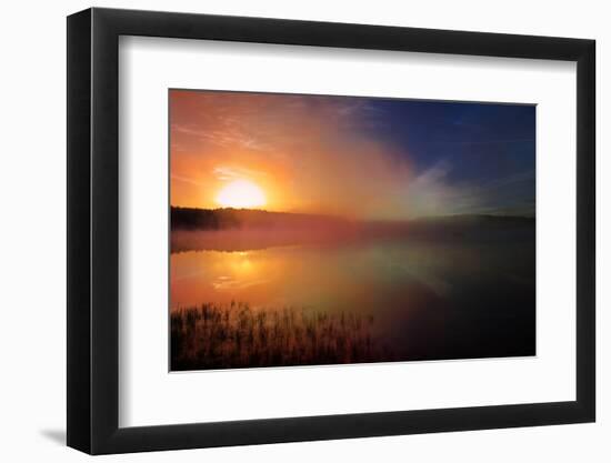 Wva-Viviane Fedieu Daniel-Framed Photographic Print