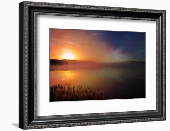 Wva-Viviane Fedieu Daniel-Framed Photographic Print