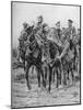 WWI - Wounded British soldiers on horseback-Richard Caton II Woodville-Mounted Giclee Print