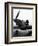 WWII England New Fulmar Plane-Eddie Worth-Framed Photographic Print