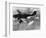 WWII German Plane Stuka-null-Framed Photographic Print