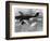 WWII German Plane Stuka-null-Framed Photographic Print