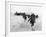 WWII Normandy Invasion-Bert Brandt-Framed Photographic Print