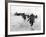 WWII Normandy Invasion-Bert Brandt-Framed Photographic Print