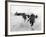 WWII Normandy Invasion-Bert Brandt-Framed Photographic Print