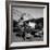 WWII: Tuskegee Airmen, 1945-Toni Frissell-Framed Giclee Print