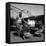 WWII: Tuskegee Airmen, 1945-Toni Frissell-Framed Premier Image Canvas