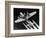 WWII USAF Flying Fortress-null-Framed Photographic Print