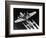 WWII USAF Flying Fortress-null-Framed Photographic Print