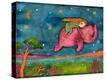 Stretched Canvas Print