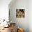 Wyeth: Treasure Island-Newell Convers Wyeth-Giclee Print displayed on a wall