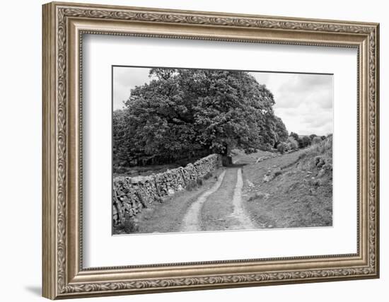 Wynlass Beck-Laura Marshall-Framed Photographic Print