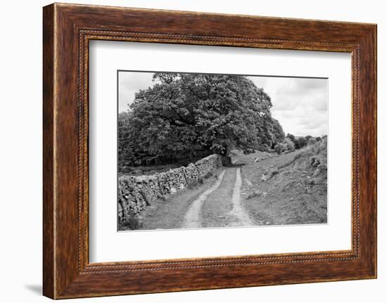 Wynlass Beck-Laura Marshall-Framed Photographic Print