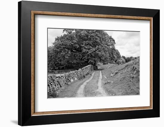 Wynlass Beck-Laura Marshall-Framed Photographic Print