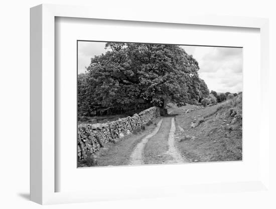 Wynlass Beck-Laura Marshall-Framed Photographic Print