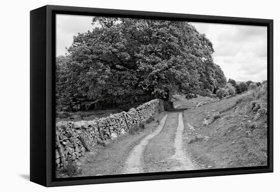 Wynlass Beck-Laura Marshall-Framed Premier Image Canvas