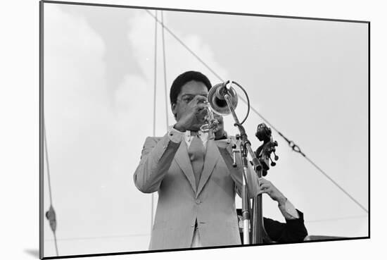 Wynton Marsalis, Knebworth, 1982-Brian O'Connor-Mounted Photographic Print