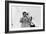 Wynton Marsalis, Knebworth, 1982-Brian O'Connor-Framed Photographic Print