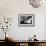 Wynton Marsalis, Knebworth, 1982-Brian O'Connor-Framed Photographic Print displayed on a wall