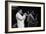 Wynton Marsalis (T Williams), Capital Jazz Festival, Rfh, London, 1988-Brian O'Connor-Framed Photographic Print