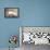 Wyoming, a Greater Sage Grouse Displays Showing Off His Headdress in a Portrait Photo-Elizabeth Boehm-Framed Premier Image Canvas displayed on a wall